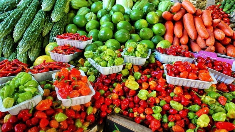 primeur-PIERREFEU-min_farmers-market-1329008